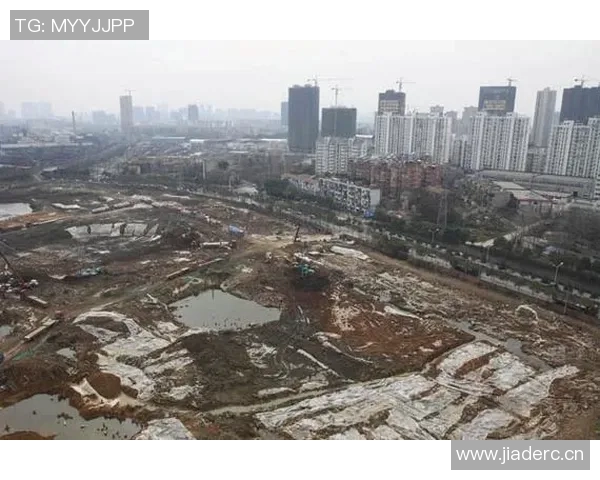 武汉羽毛球队的转型之路与未来发展趋势深度解析 武汉羽毛球队的转型之路与未来发展趋势深度解析